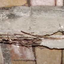 test aluminoso barcelona